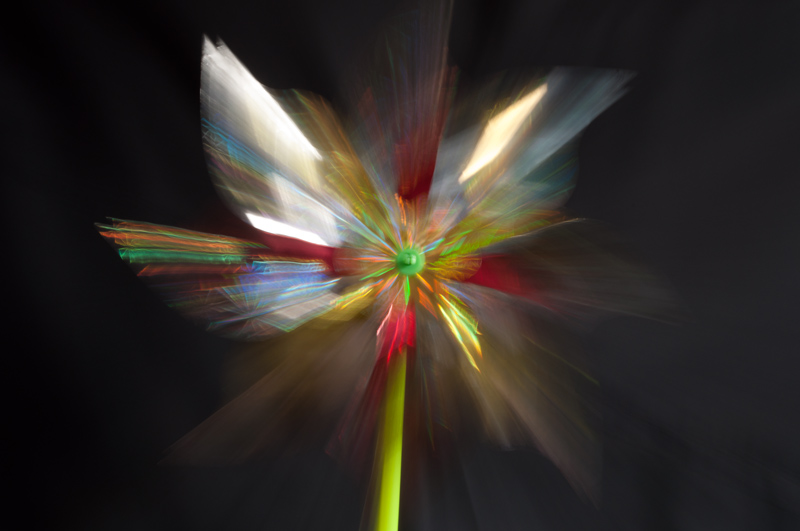 Illustration for article titled Zoom Photo Challenge Gallery 2